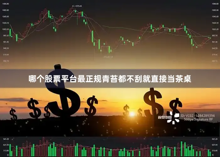 哪个股票平台最正规青苔都不刮就直接当茶桌